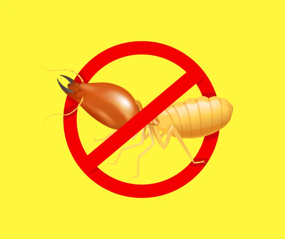 Stop Termite