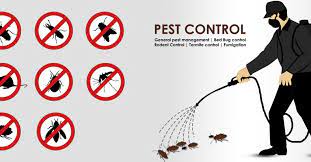 Read more about the article Pest Control Services in Bangladesh