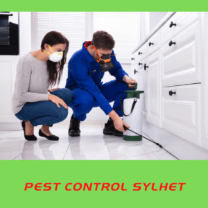 Read more about the article Pest Control Demands in Bangladesh
