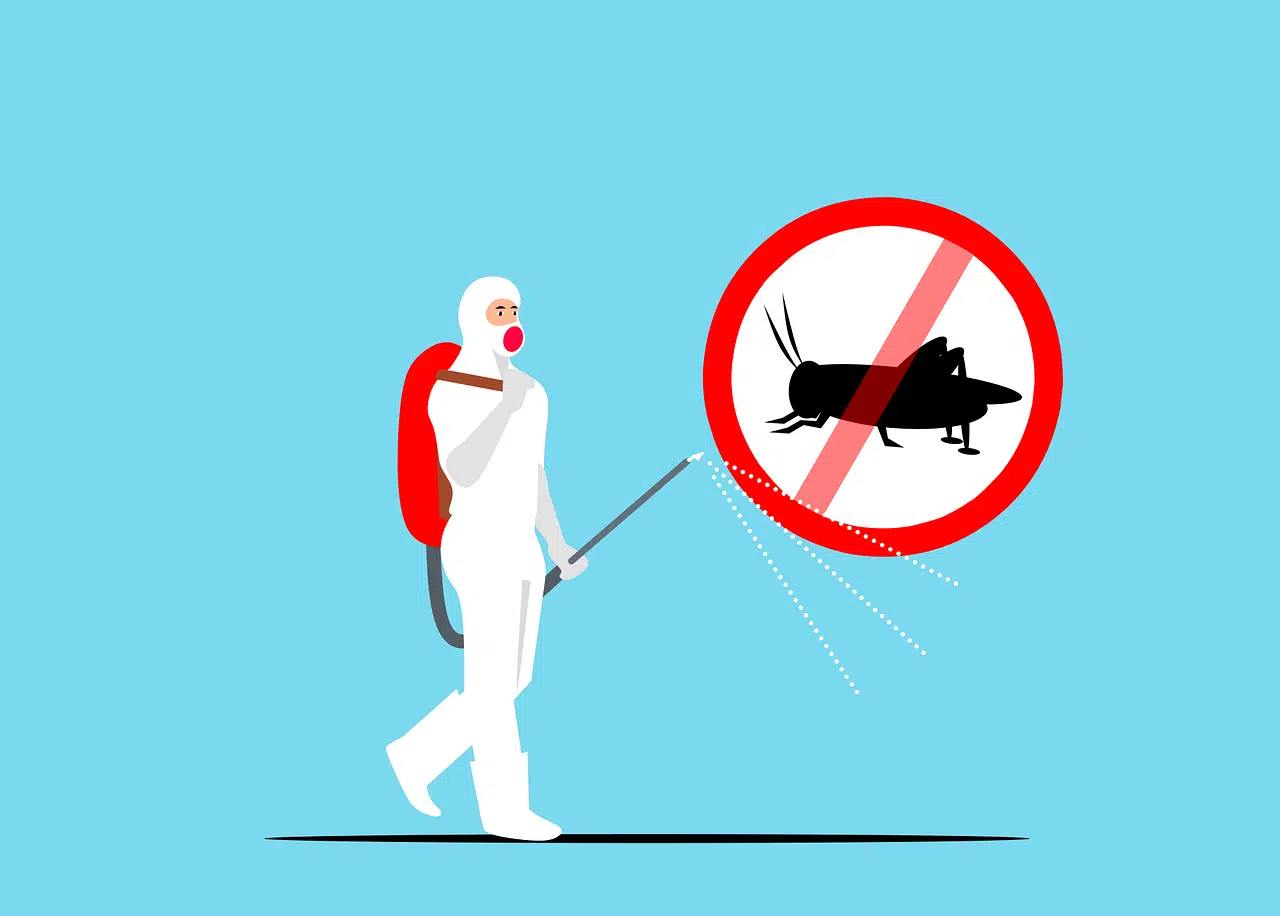 Read more about the article Pest Control Is Safe?