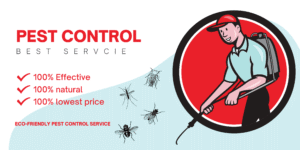 Read more about the article What Are the Benefits of Eco-Friendly Pest Control?