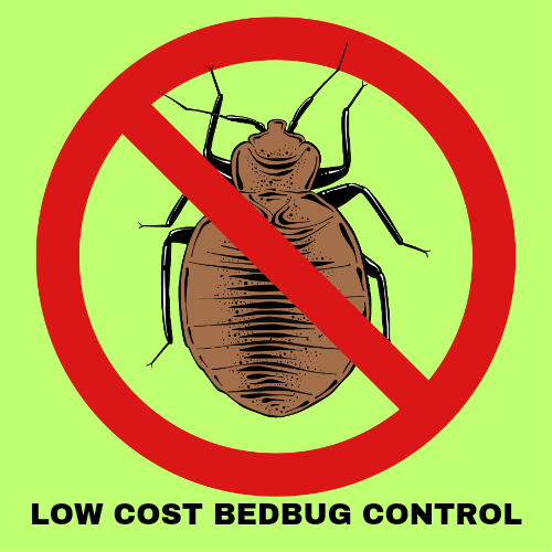 You are currently viewing Low Cost Bedbug Control Service in Bangladesh