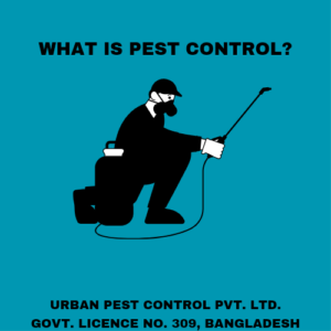 What Pest Control Service? 