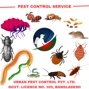 Read more about the article Pest Control Service Rendering in Bangladesh