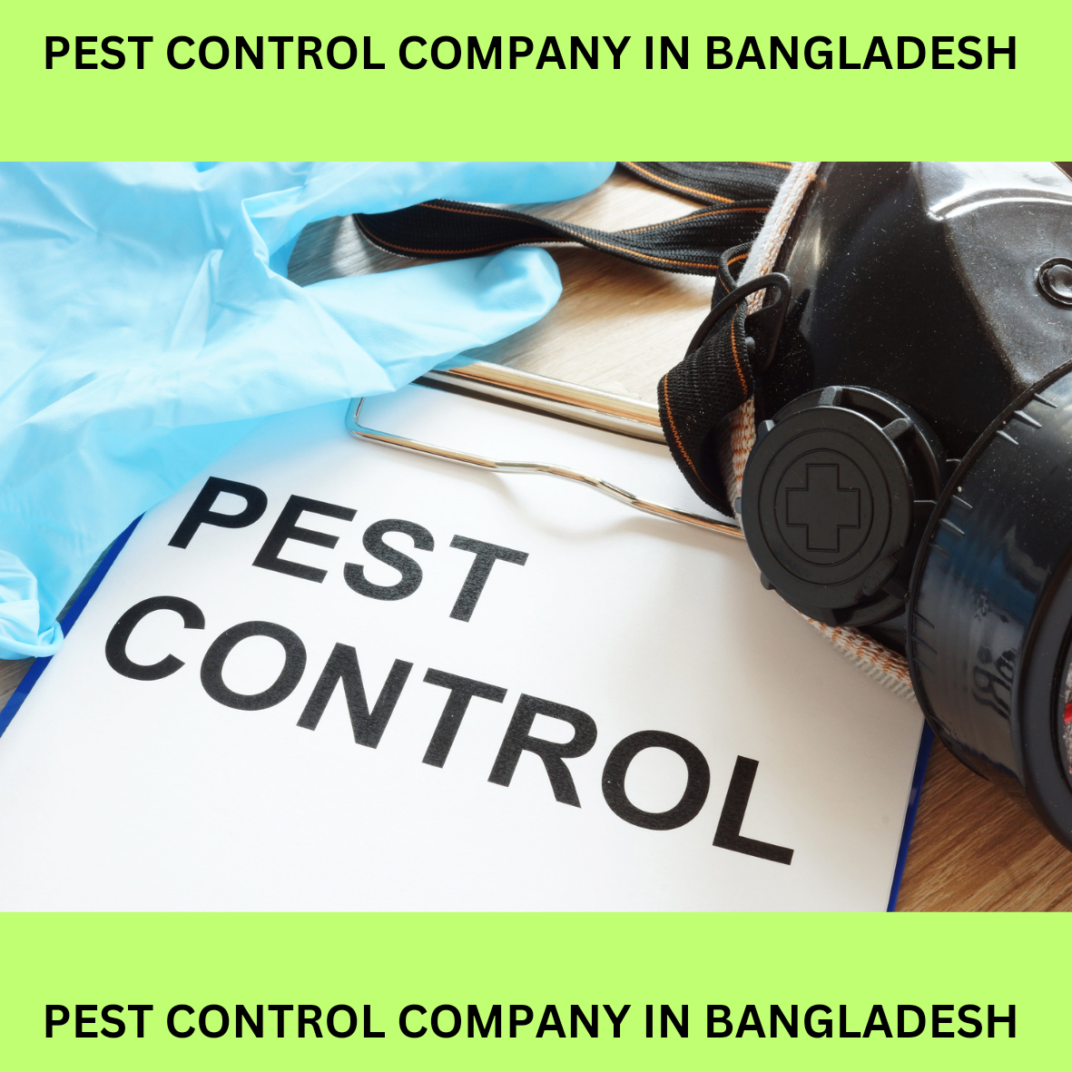 Read more about the article PEST CONTROL COMPANY IN BANGLADESH