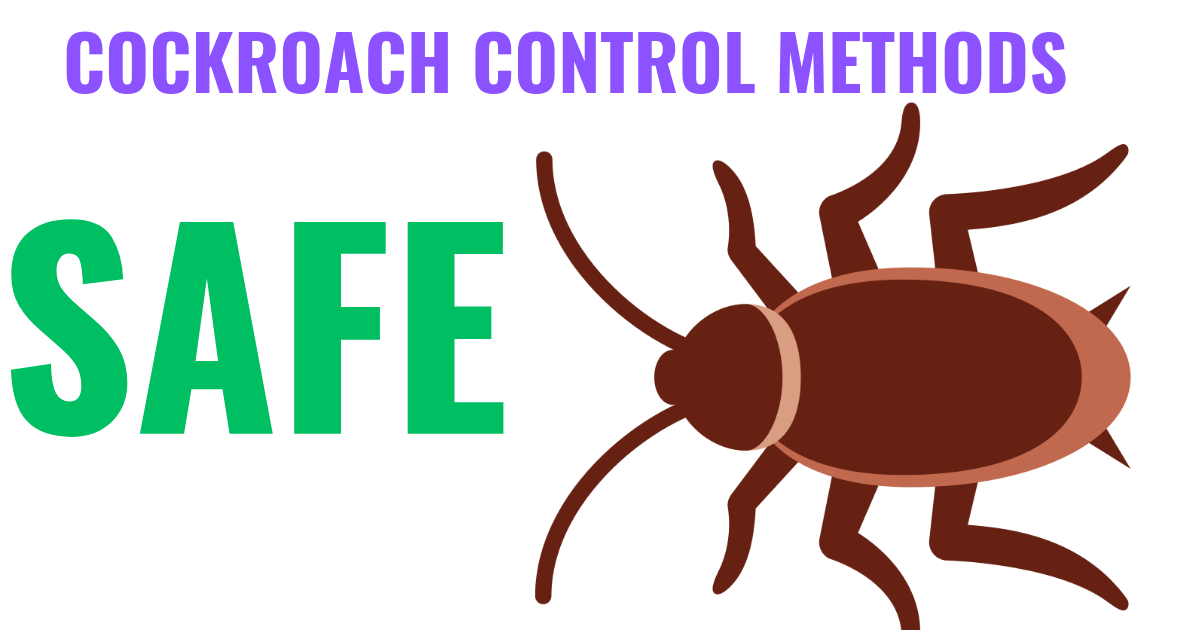 Read more about the article Safe Anti-cockroach Treatment Pest Control in Bangladesh