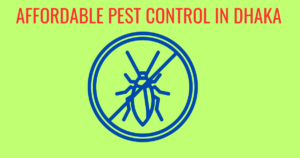 Read more about the article Affordable Pest Control in Dhaka, Bangladesh