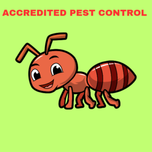 Read more about the article Accredited Pest Control