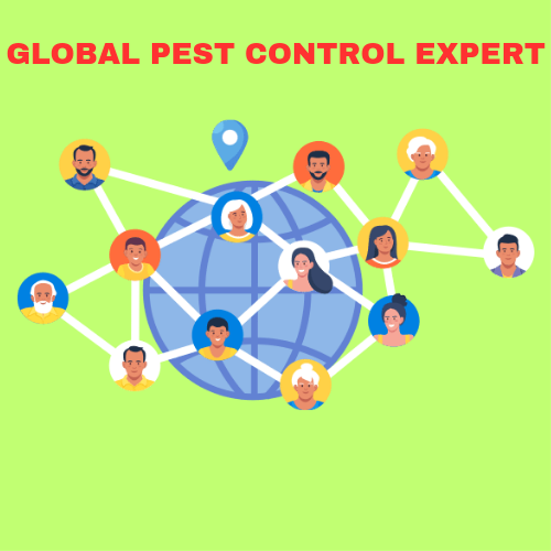Read more about the article Global Pest Control Expert in Bangladesh