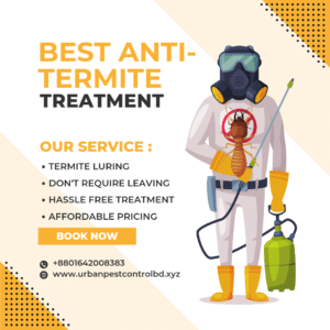 Read more about the article Best Anti-termite Treatment in Bangladesh