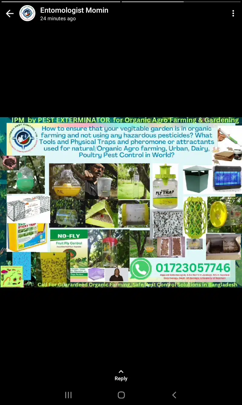You are currently viewing Organic Pest Solutions by IPM Based Pest Control in Bangladesh